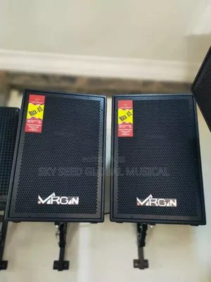 10inches Virgin Accoustic Speaker