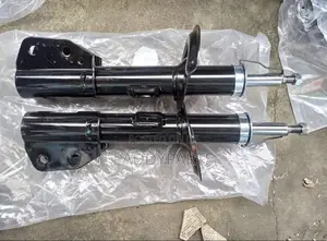 Pontiac Torrent Shock Absorber
