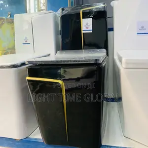Luxury Black Water Closet