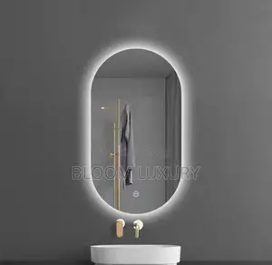 Oval Shaped Led 3 Color Lighting Mirror