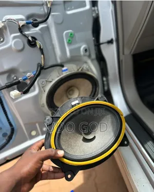 Car Door Speaker