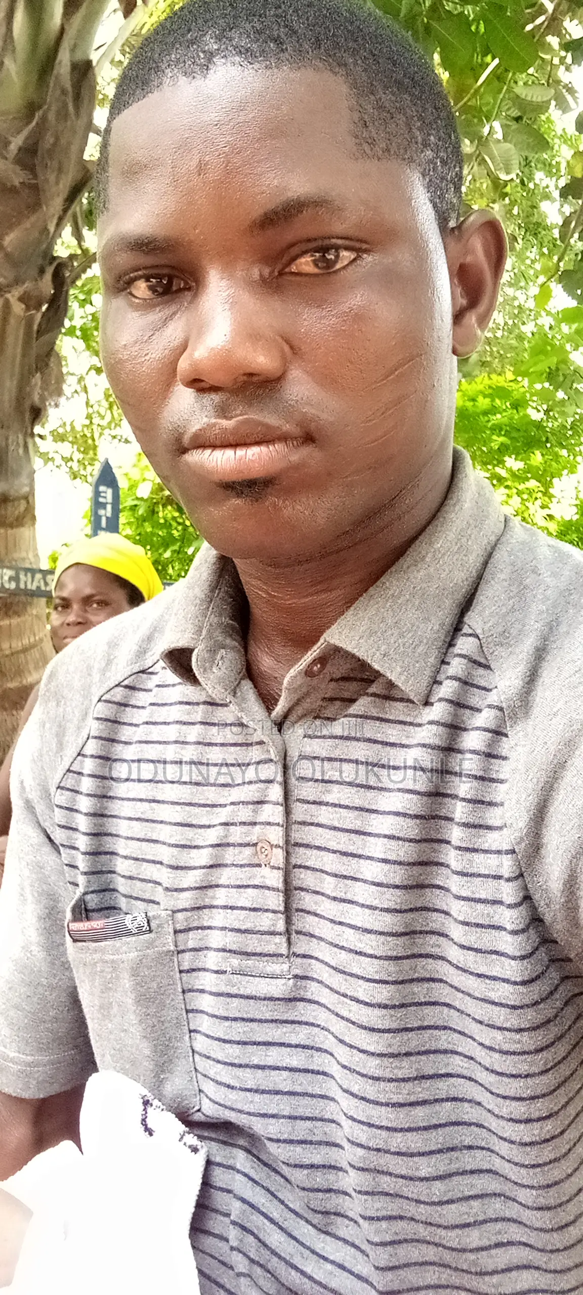 School Result