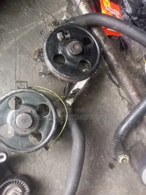 2008 -2010 Ford Edge Steering Pump