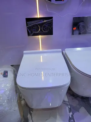 Wall Hung Wc