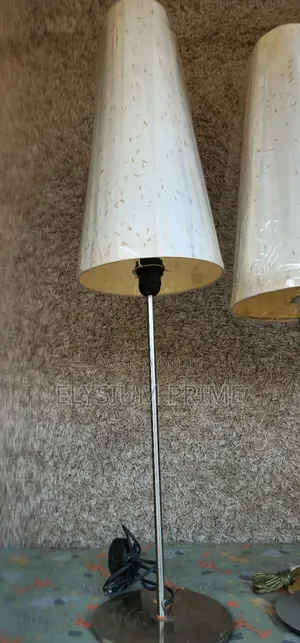 Beautiful Table/Standing Lamps