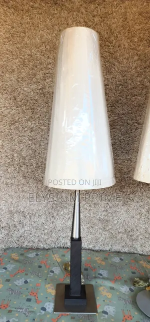 Beautiful Table/Standing Lamps