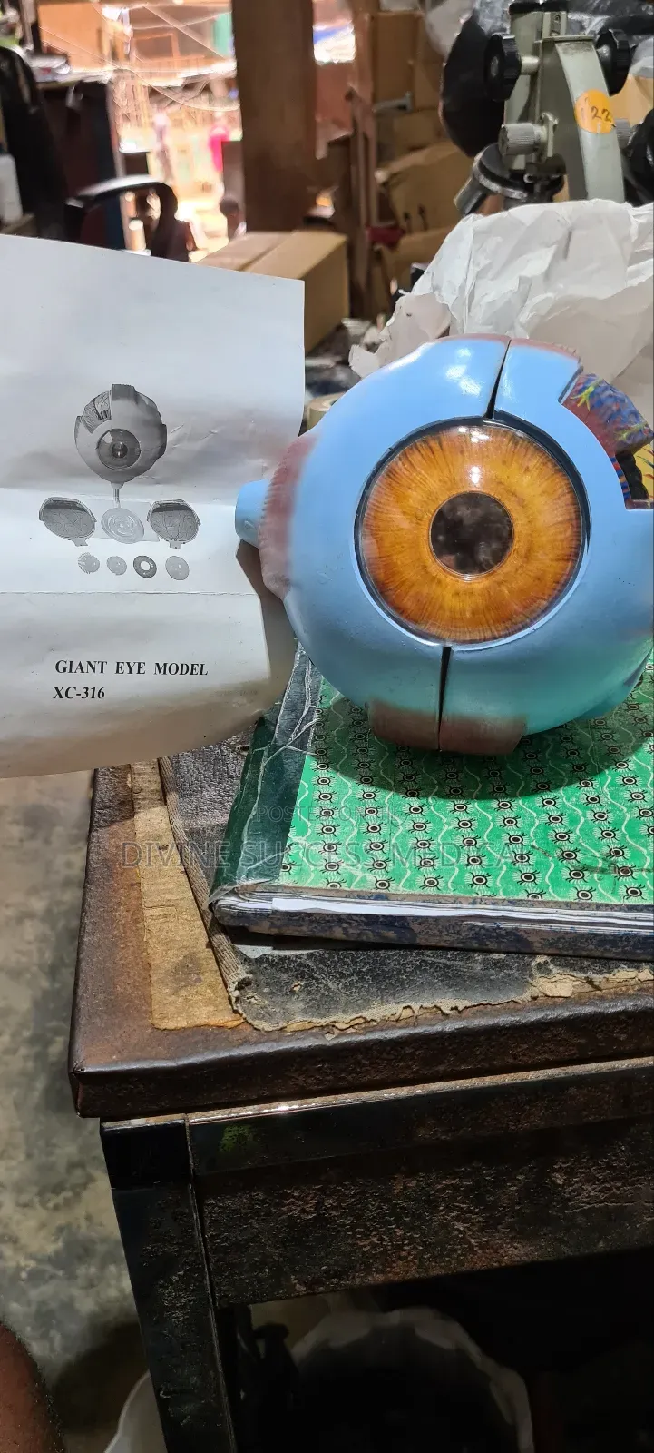 Eye Models
