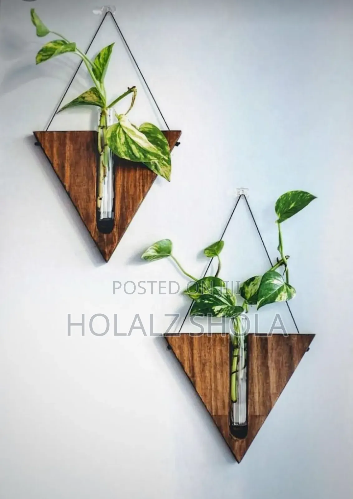 Wall Crafted Hexagonal Wooden Planter Decors