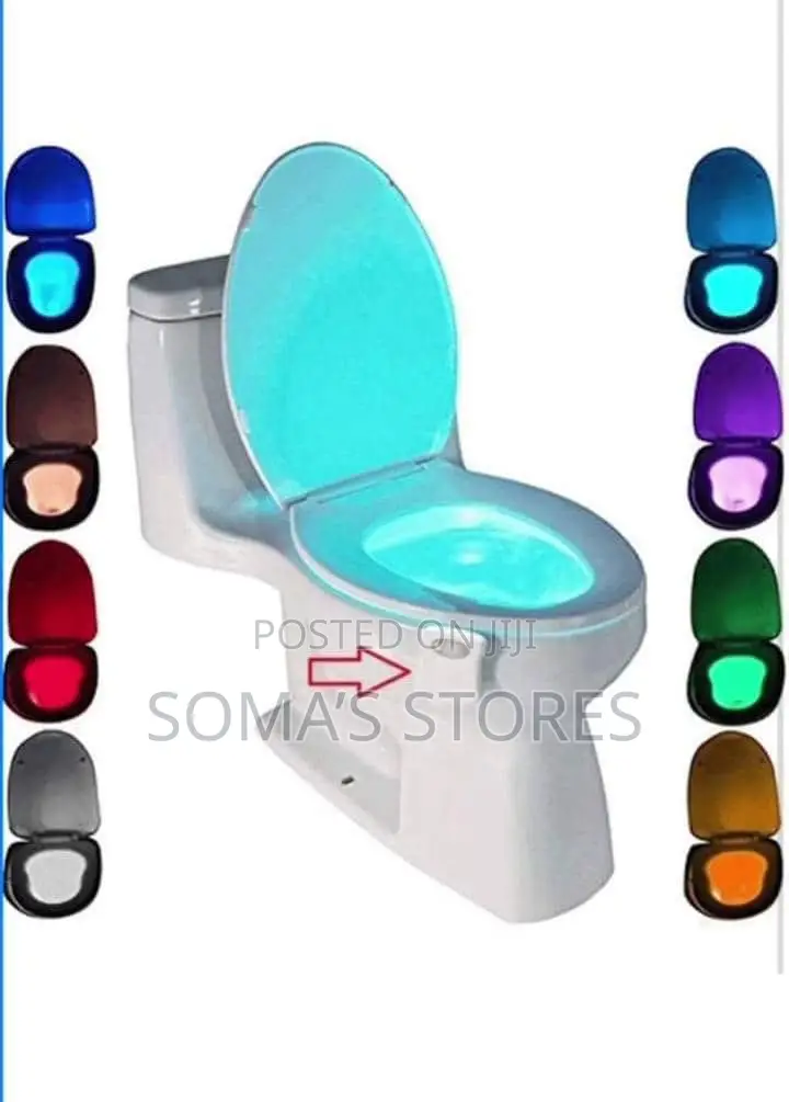Toilet Light