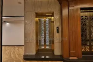 Hydraulic Safe Villa Hotel Elevator