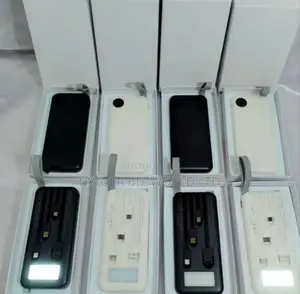 Power Bank With Inbuilt Charging Port+ Gift Bag