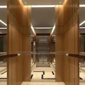 Electric Vertical Hotel Elevator