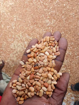 Ezytex Maiduguri Brown Beans 100kg