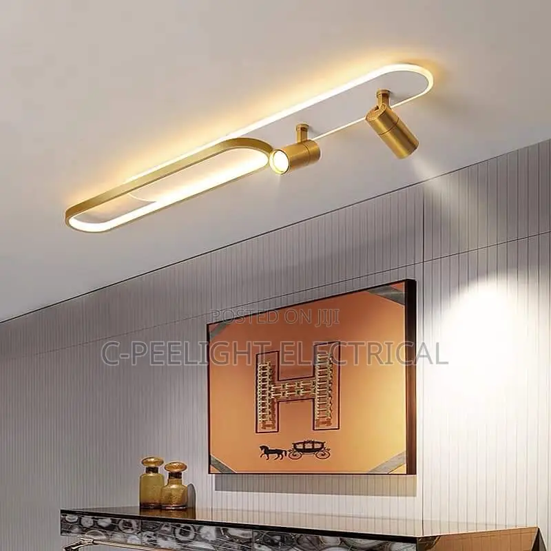 Led Ceiling Light