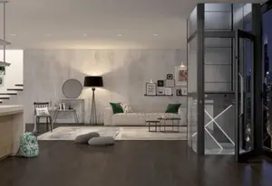Affordable Domestic Elevators