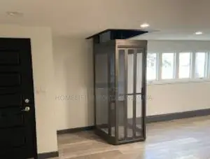 Popular Domestic Elevator