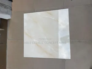 60 by 60 Tiles Shinny