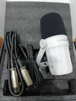 Classic Audio Podcast Microphone