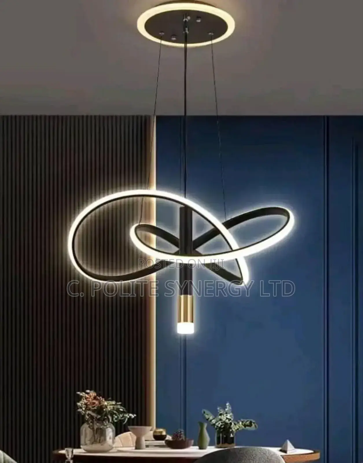 Unique Circle Pendant Light