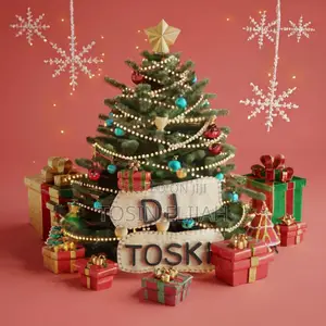 Dj Services Equipment Renting