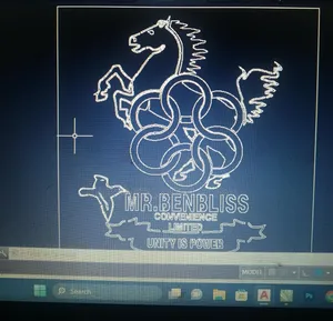 Customized Design