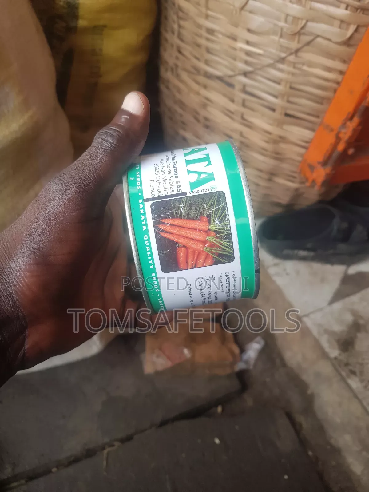 Carrot Seed