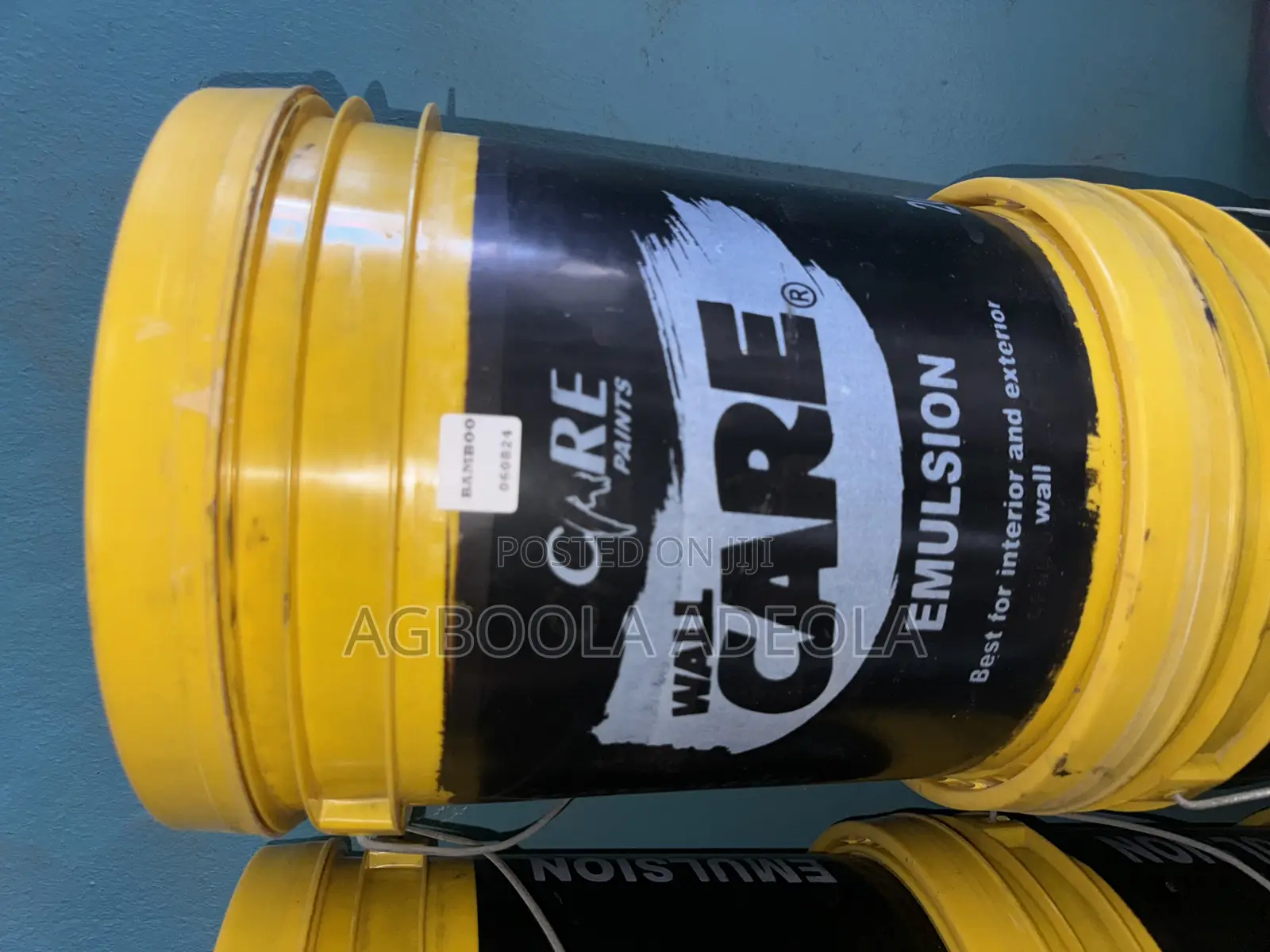 Wall Care Paint