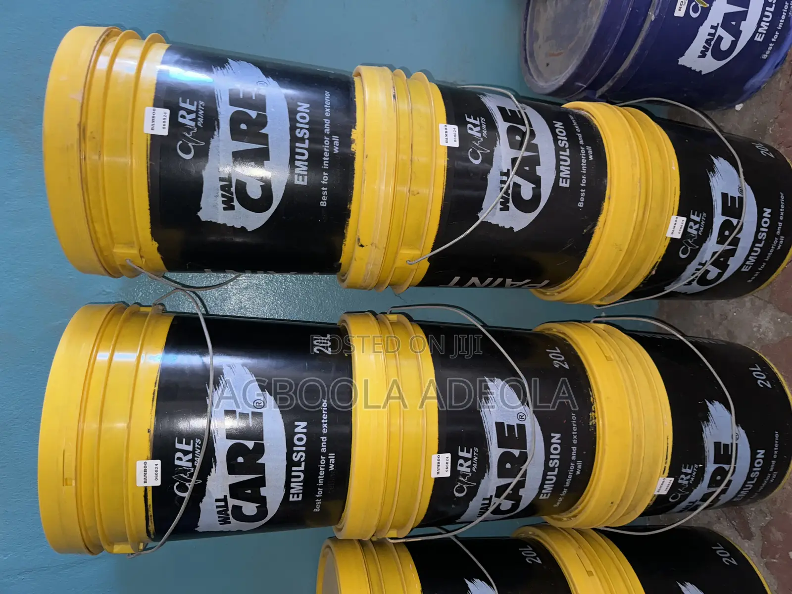 Wall Care Paint