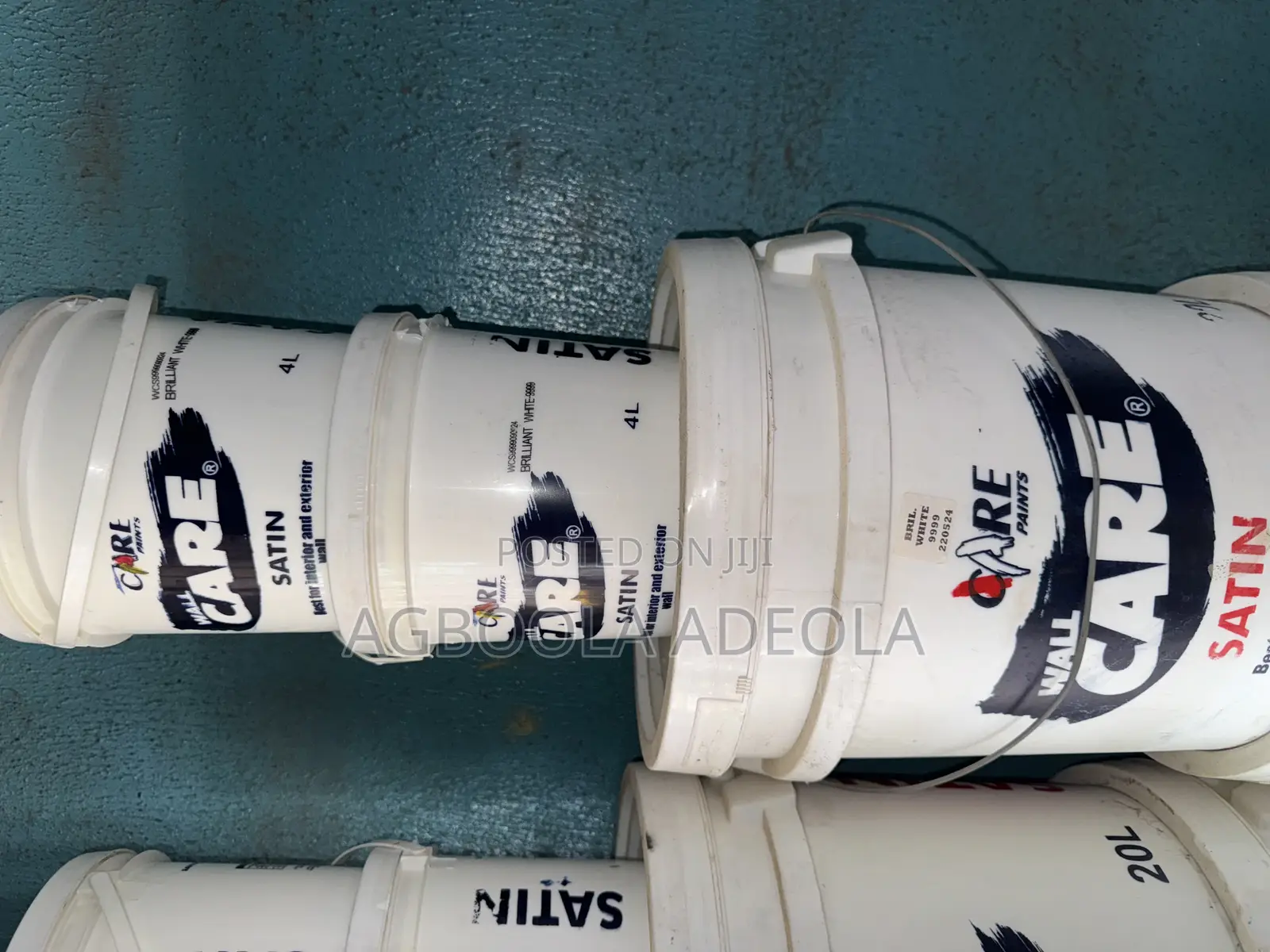 Wall Care Paint