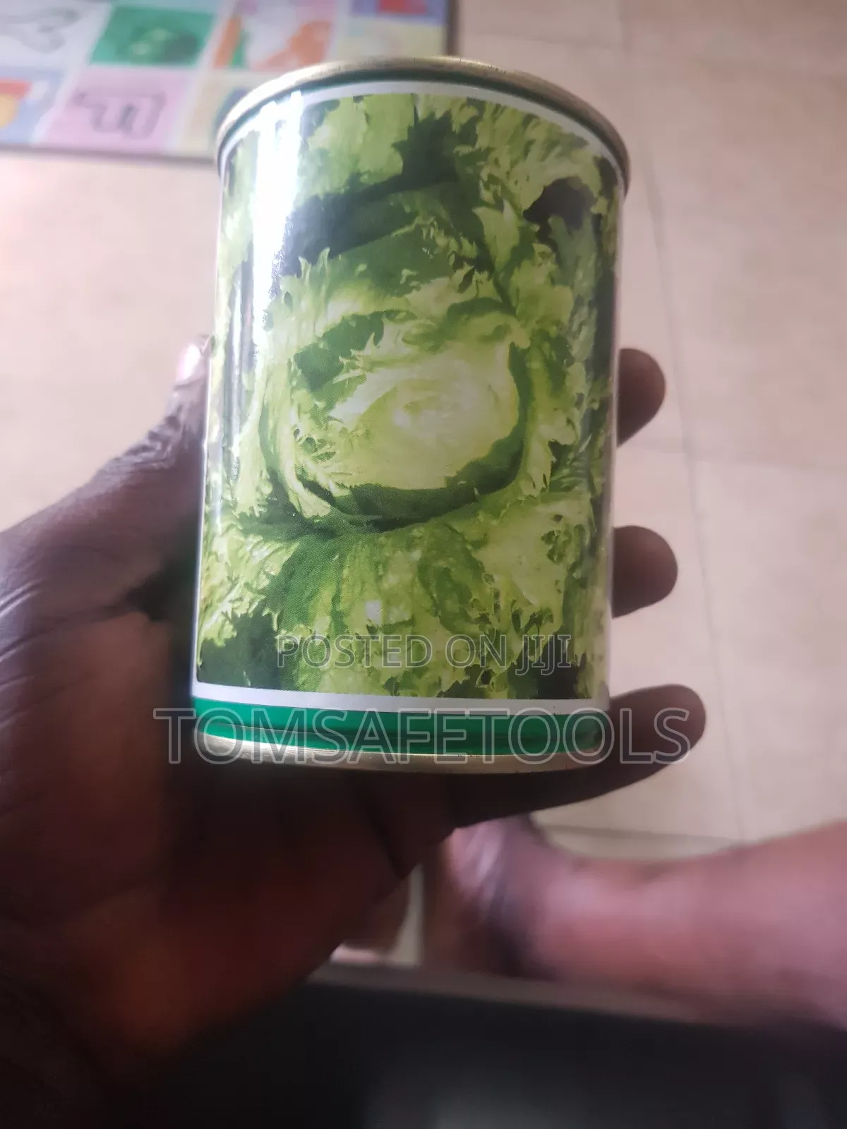 Cabbage Seed