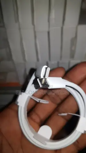 Original Type C to Type C Cable.