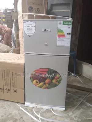 LG Fridge \ Freezer 110_litre Double Door Fast Ice Maker