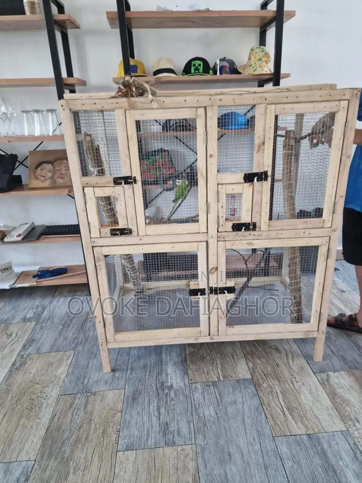 Cage (Aviary)
