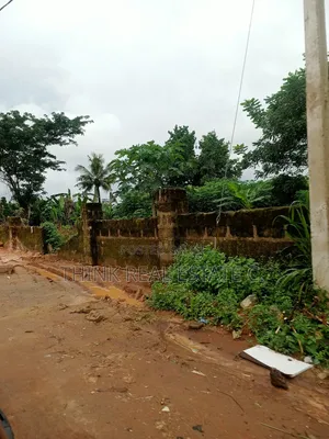 50/100 at Arougba,Airport Road,Benin City. Has C of O 4sale