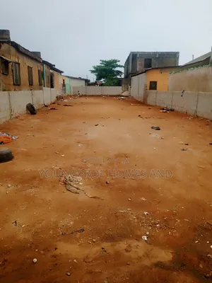 A Full Plot at Egan Igando
