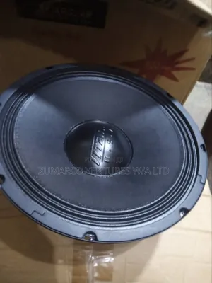 Titanic 15" Naked Speaker. Big Magnet.