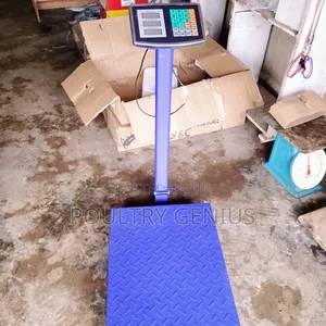 Digital Platform Scale 500kg