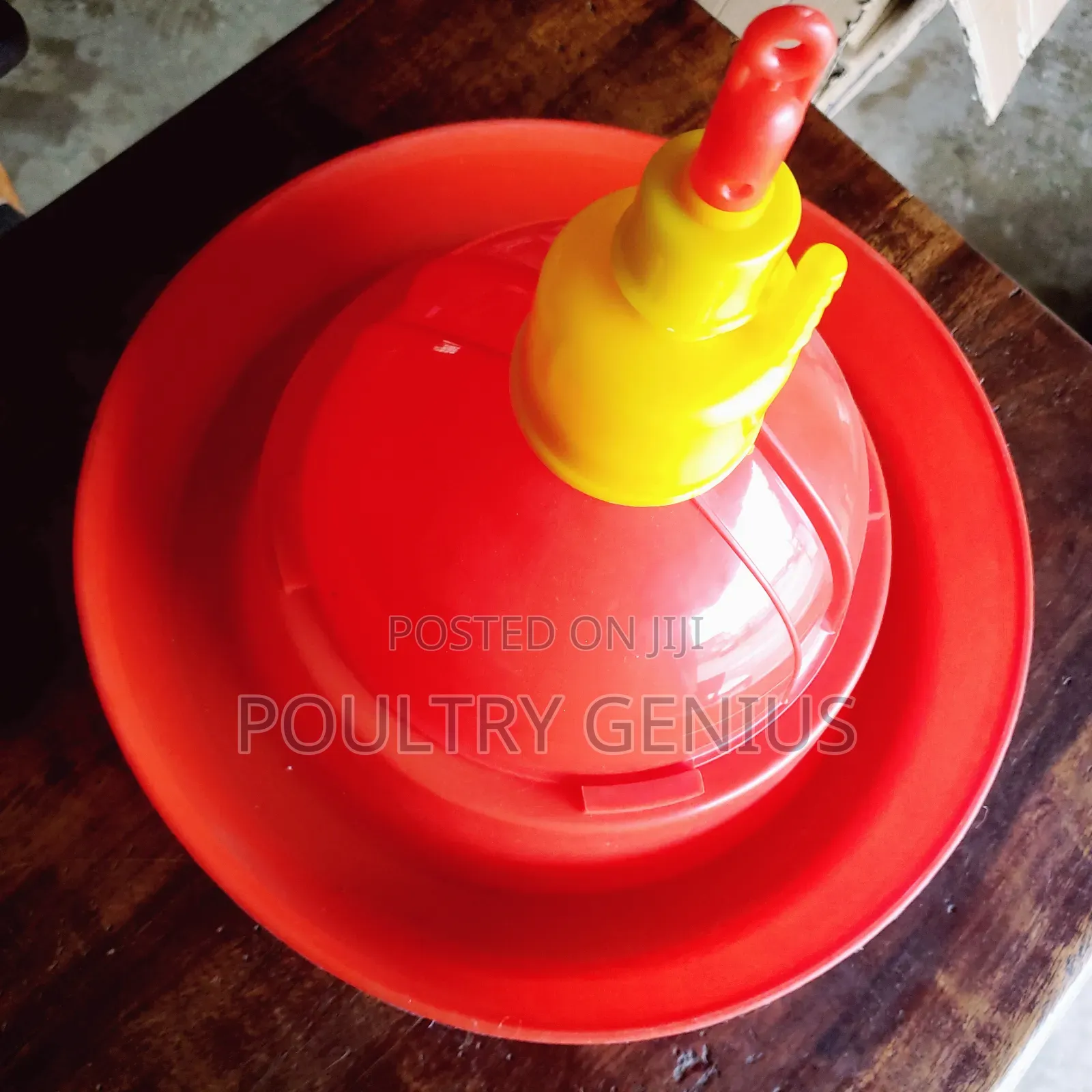 Automatic Bell Drinkers