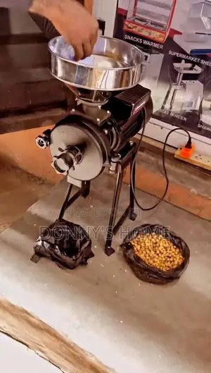 Wet And Dry Electric Grinder Commercial