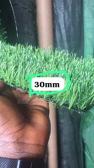Artificial Grass