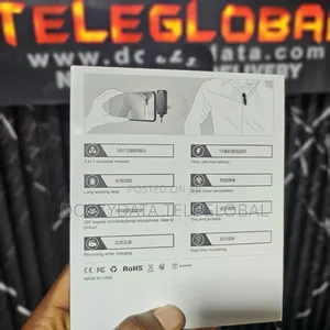 2.4g Wireless Microphone