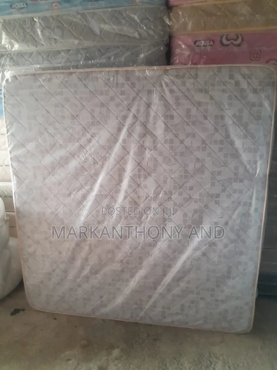 6ft by 6 Ft,8imches Royal Gallant Plus
