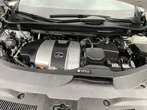 Lexus RX 2022 White