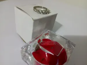 US Sterling Silver Ladies Proposal Ring 0004
