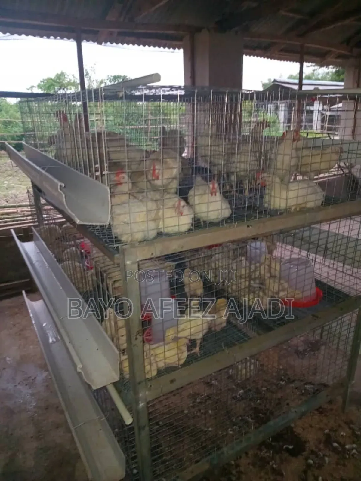 H-Type Battery Cage