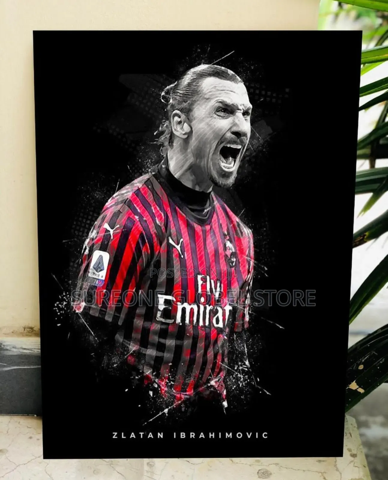 Frame Artwork of MESSI