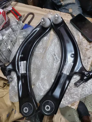 Lower Arm for Nissan Rogue