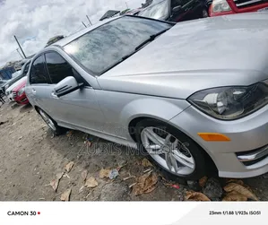 Mercedes-Benz C300 2014 Silver