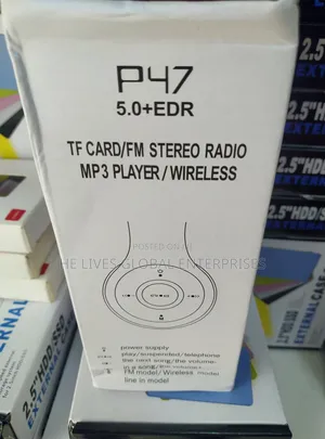 P47 Headset With Radio Fm