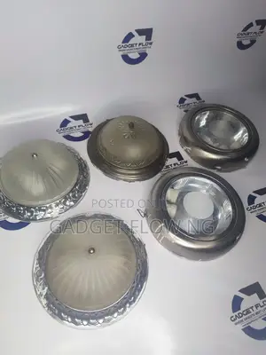 Royal Ceiling Light (POP and Ceiling)